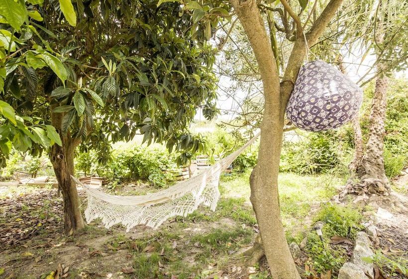 Пансион Avó Rosa Guesthouse