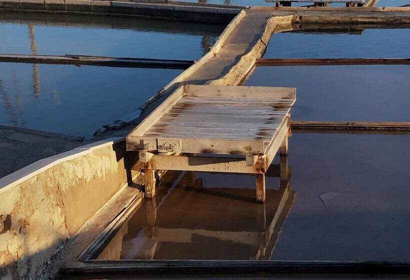 Пансион Avó Rosa Guesthouse