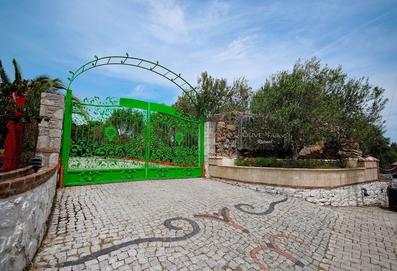 פנסיון Olive Farm Of Datca