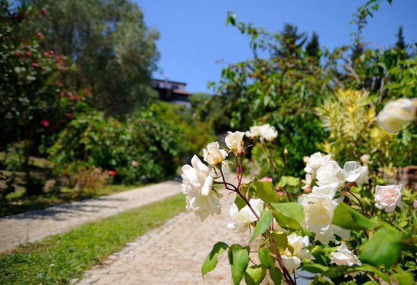 פנסיון Olive Farm Of Datca
