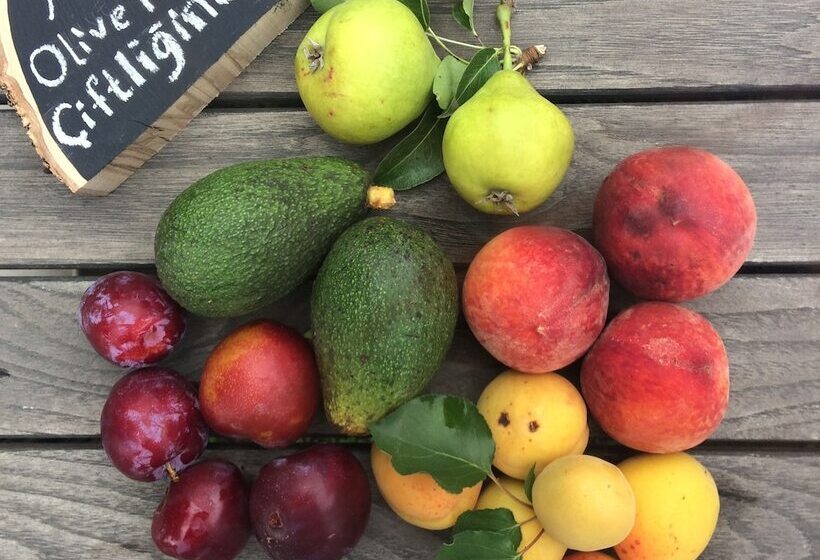 פנסיון Olive Farm Of Datca