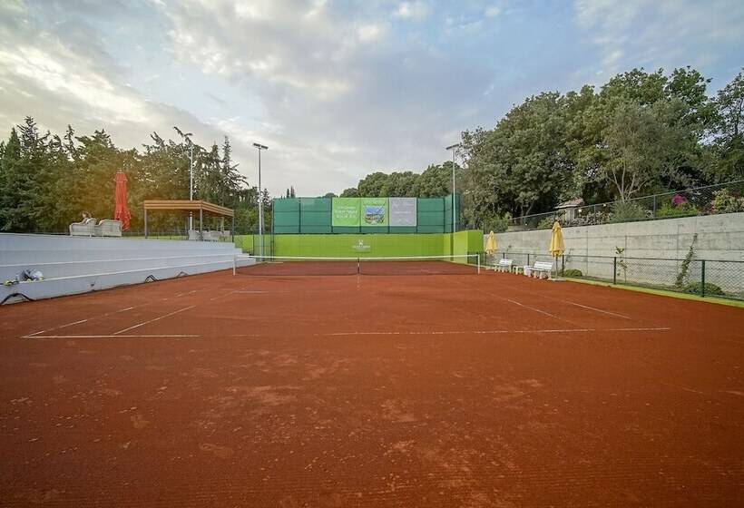 פנסיון Olive Farm Of Datca