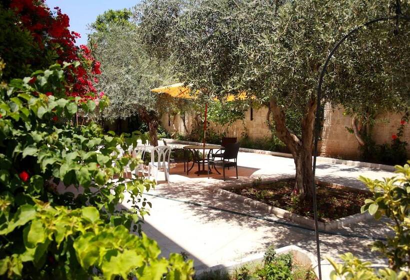 پانسیون St. Vincent Guest House   Bethlehem