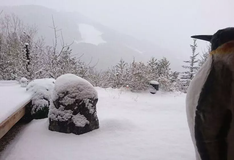 ベッドアンドブレックファースト Un Balcon En Montagne
