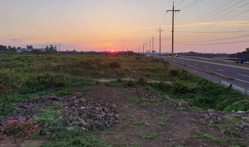 Pensione Donkey And Dog