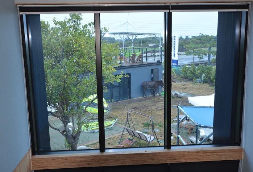 Pensione Donkey And Dog