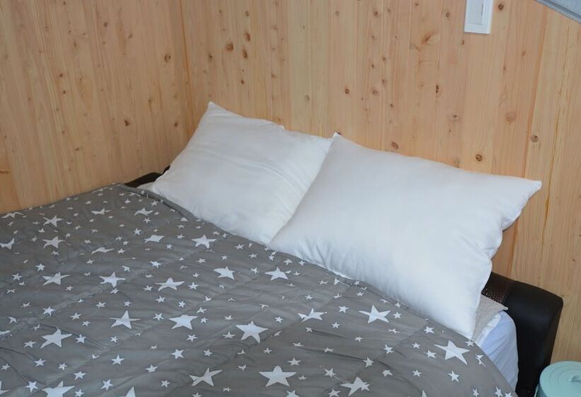 Pensione Donkey And Dog