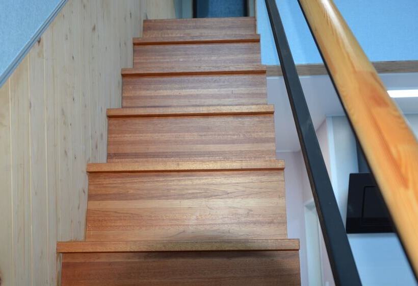 Pensione Donkey And Dog