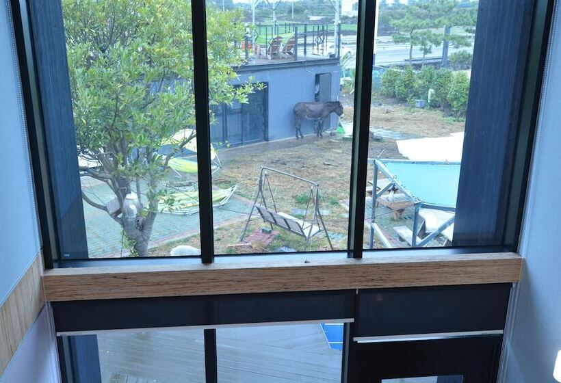 Pensione Donkey And Dog