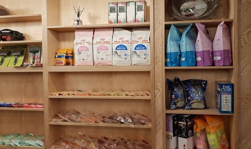 Pensione Donkey And Dog