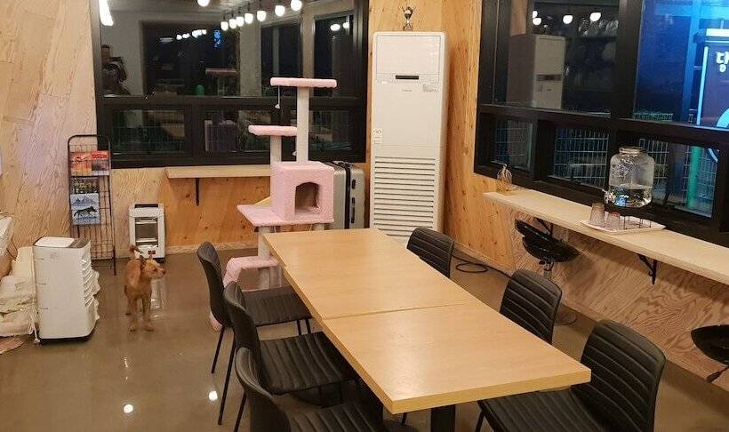 Pensione Donkey And Dog