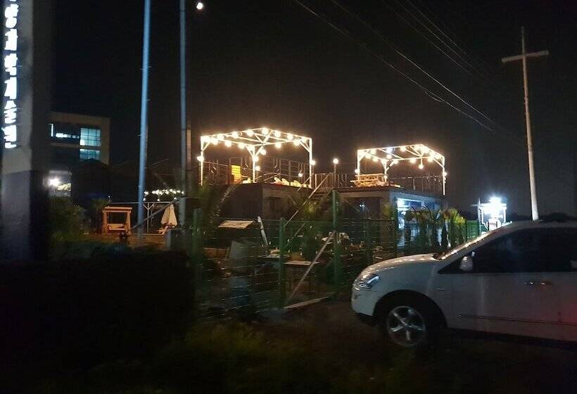 Pensione Donkey And Dog