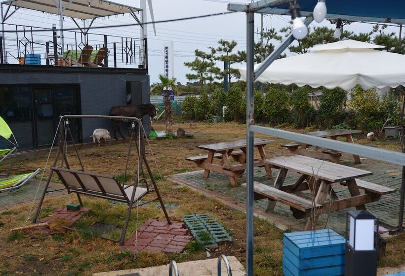 Pensione Donkey And Dog