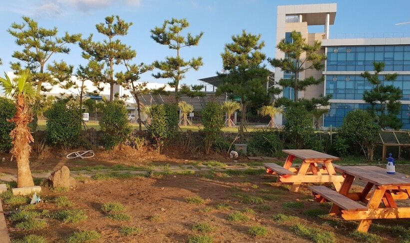 Pensione Donkey And Dog