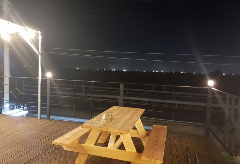 Pensione Donkey And Dog