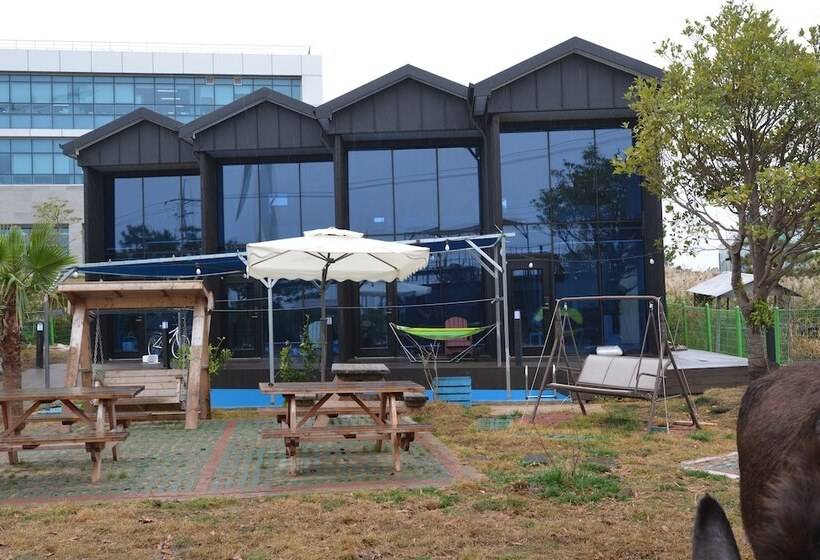 Pensione Donkey And Dog