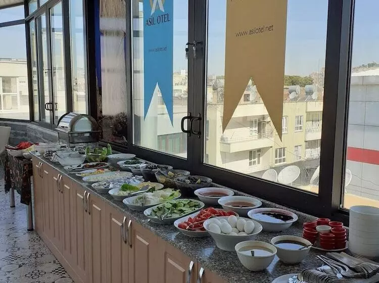 Hotel Asil