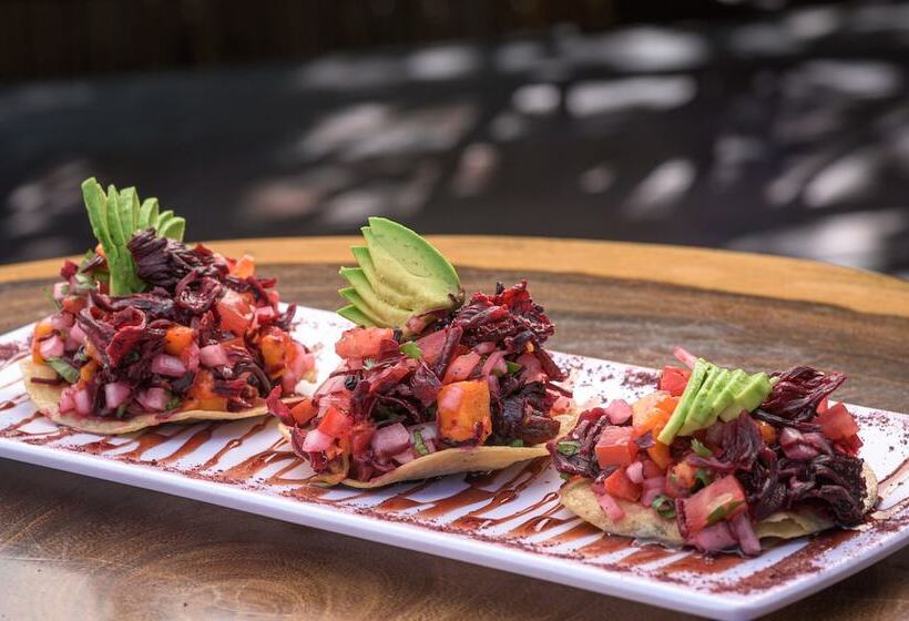 هتل Casa HX - Adults Only