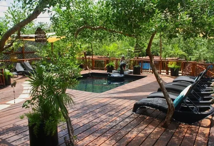 هتل Casa HX - Adults Only