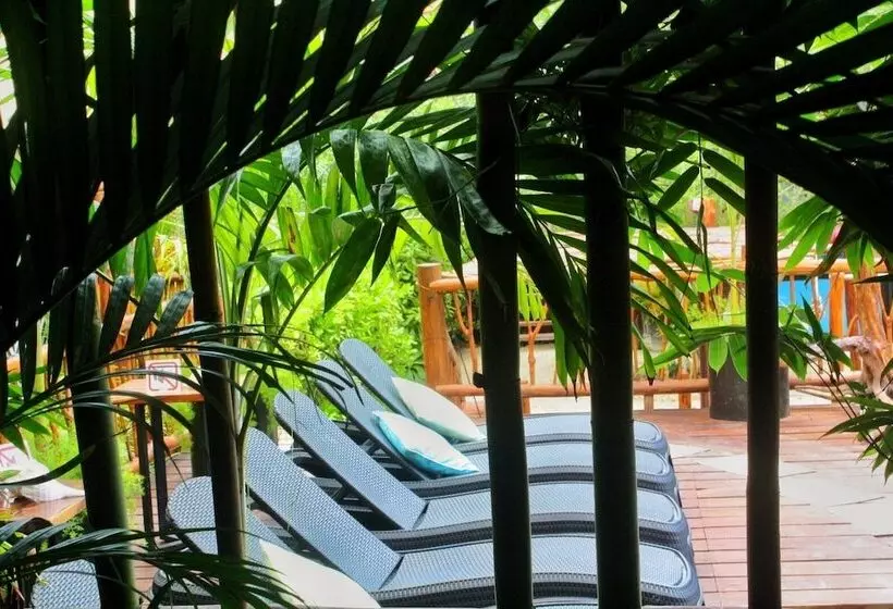 هتل Casa HX - Adults Only