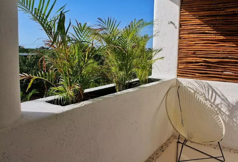 هتل Casa HX - Adults Only