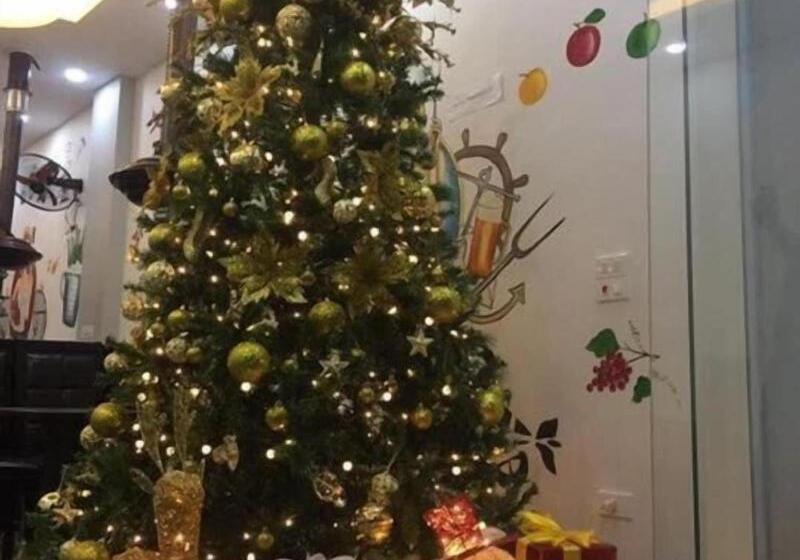 هتل Noi Bai Ville Airport