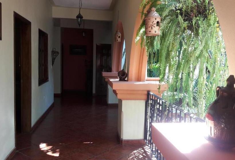 هتل Acropolis Maya