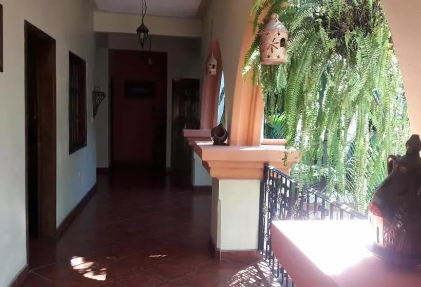 هتل Acropolis Maya