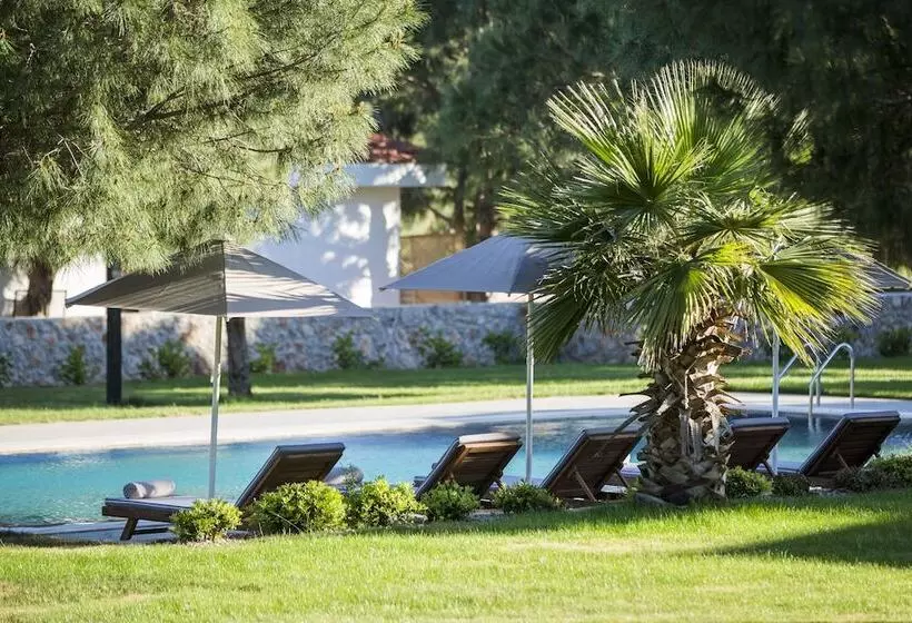 Hotel Casa Elia
