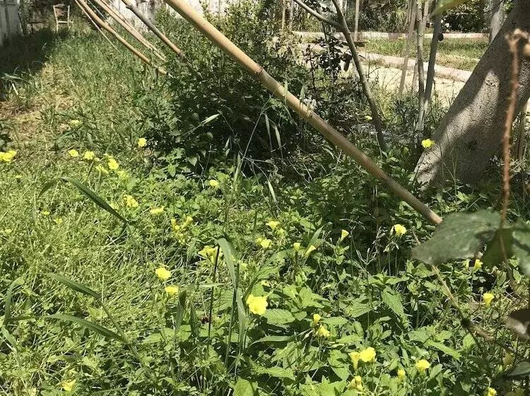 Otel Mayaluna Ecolodge