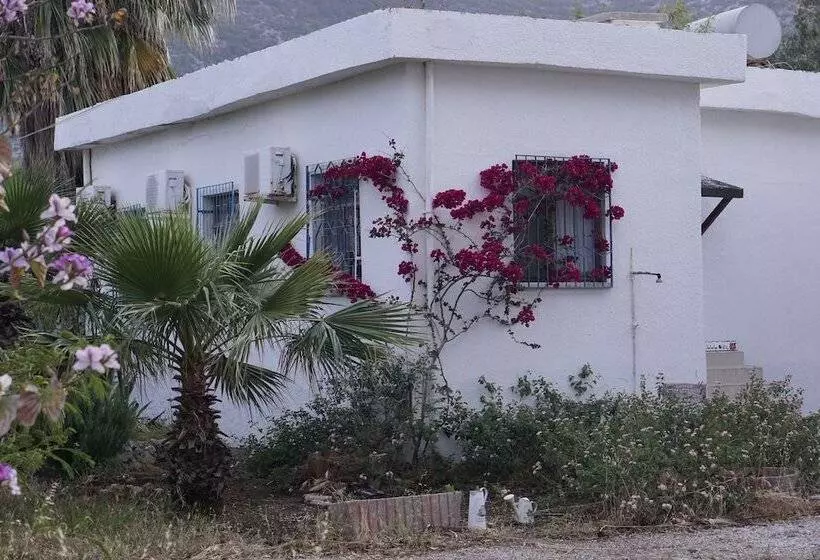 Otel Mayaluna Ecolodge