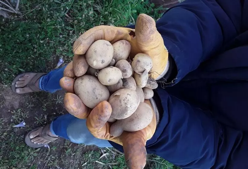 Otel Mayaluna Ecolodge