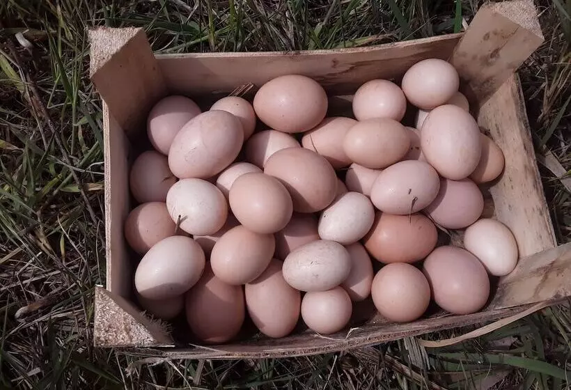 Otel Mayaluna Ecolodge