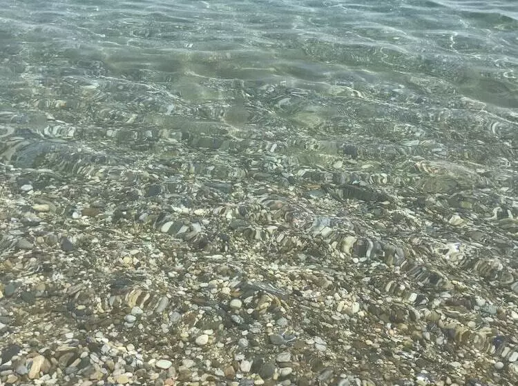 Otel Mayaluna Ecolodge