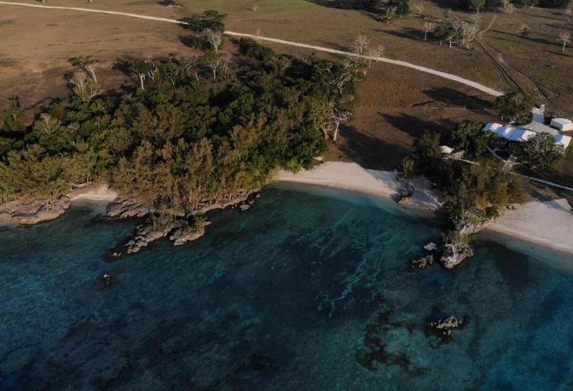 酒店 The Palm House