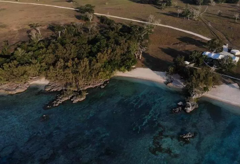 هتل The Palm House