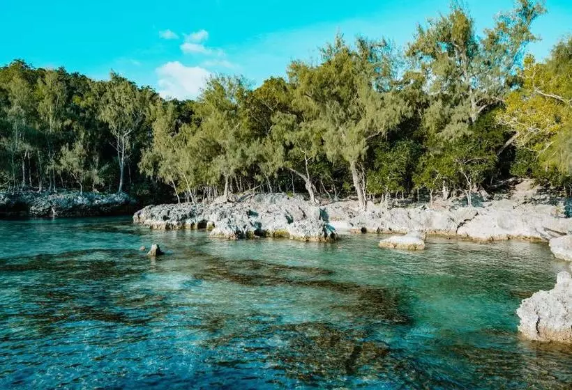 هتل The Palm House