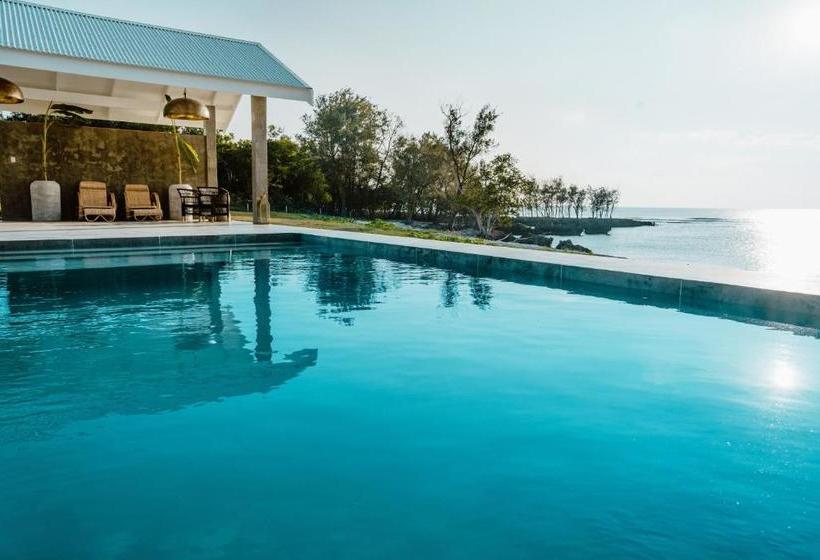 酒店 The Palm House