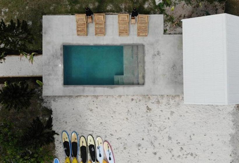 酒店 The Palm House