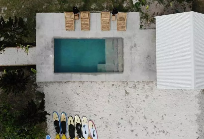 هتل The Palm House