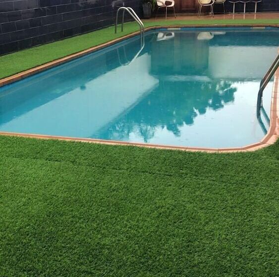 בית מלון כפרי Whyte View Lodge