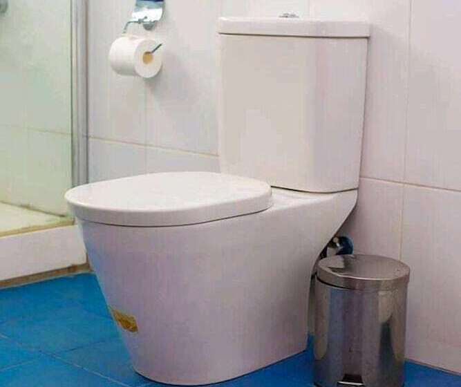 בית מלון כפרי Whyte View Lodge