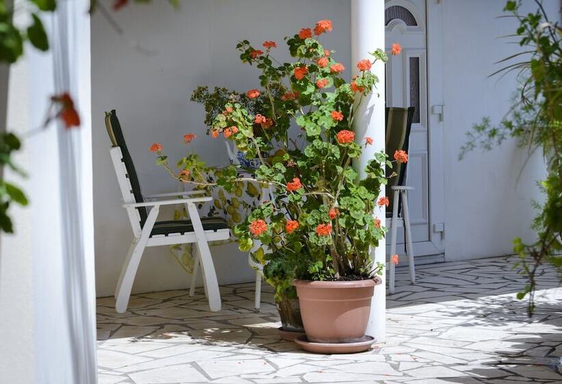 Oreb Dream Apartments