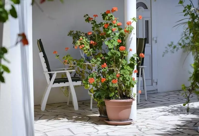 Oreb Dream Apartments