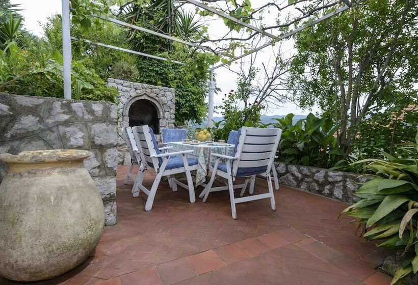 Oreb Dream Apartments