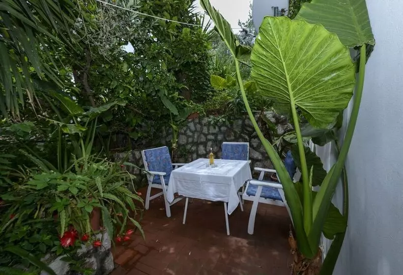 Oreb Dream Apartments