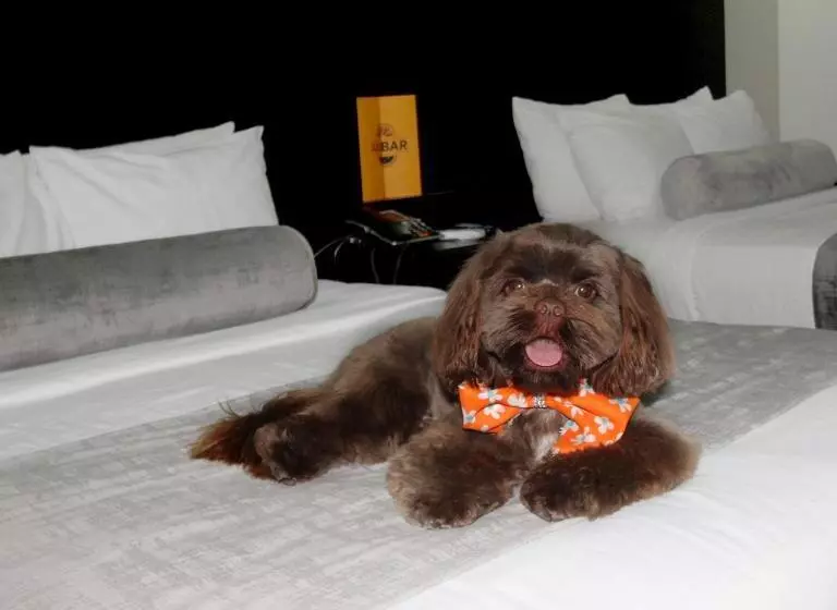 Stay Inn Hotels