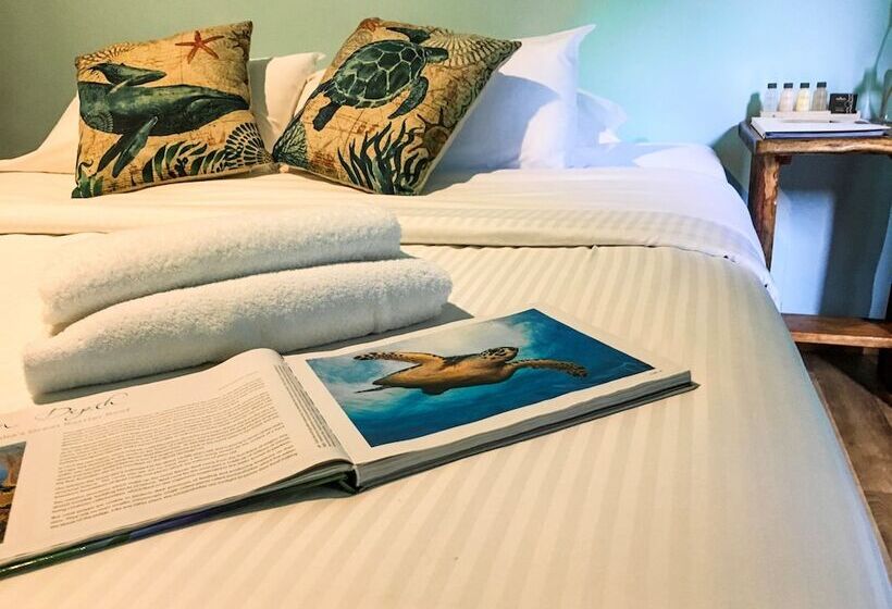 Общежитие Safari Lodge