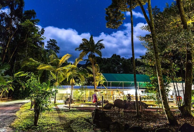 Общежитие Safari Lodge