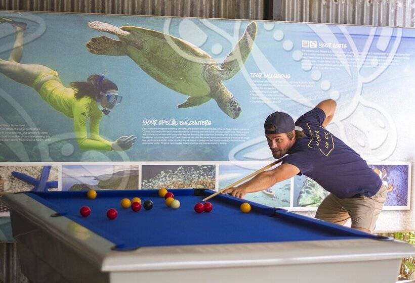 Общежитие Safari Lodge